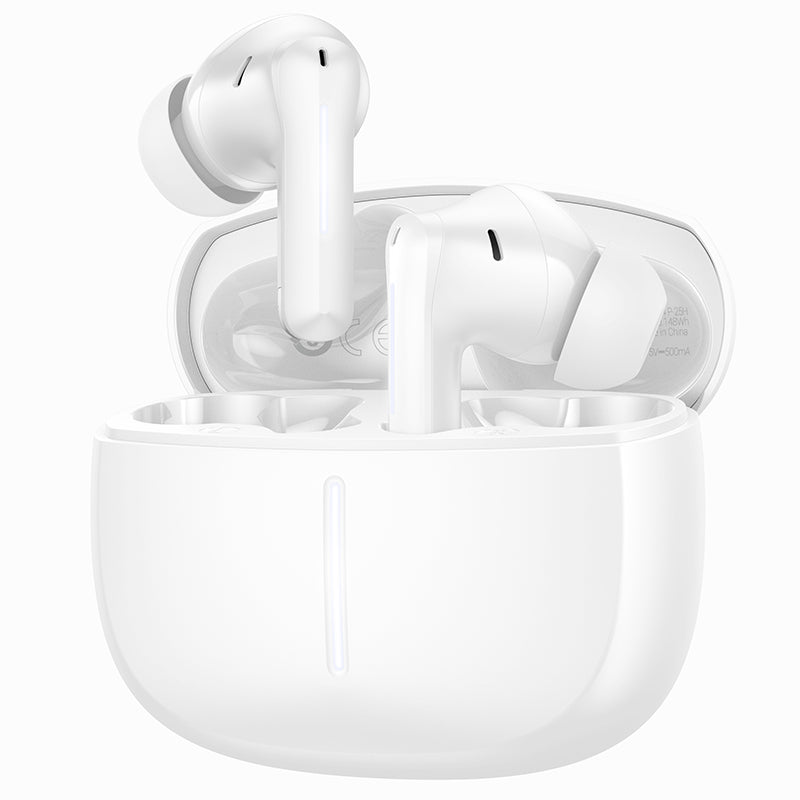 Hoco Earbud with ANC+ENC Noise Cancellation (EQ34 Plus)