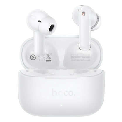 Hoco TWS Earbuds with 7 Hours, Carry Case and Snap Hook (EQ30)