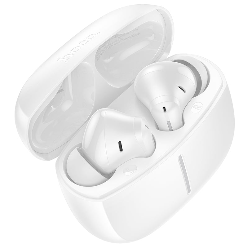 Hoco Earbud with ANC+ENC Noise Cancellation (EQ34 Plus)